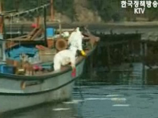 태안 반도 6개 시·군 `특별재난지역 선포`