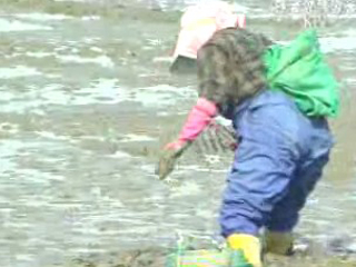 부안 줄포만 갯벌 습지보호지역 지정