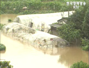 풍수해보험, 오는 16일부터 9개 시·군 시범실시