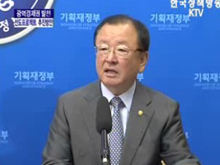 광역 경제권 발전 선도 프로젝트 추진 방안