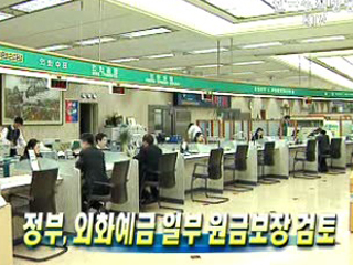 정부, 외화예금 일부 원금보장 검토