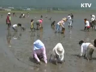 '여행을 떠나요' 생태·체험형 관광 