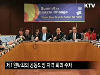 개발도상국 온실가스 자발적 감축 '제안'