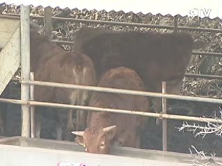 인접 지자체 구제역 확산 차단 총력