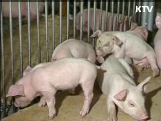 FTA로 대한민국이 커집니다