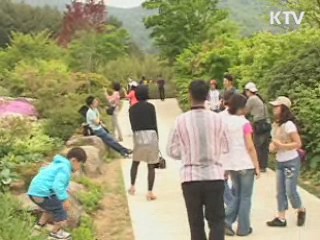 부산~거제 50분…新 남해안 시대 연다