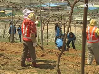 자원 민방위대 3만명 창설