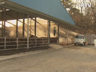 "AI 바이러스 철새가 유입, 사람이 확산"