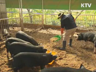 농식품 정책 '원산지 표시제' 만족도 최고