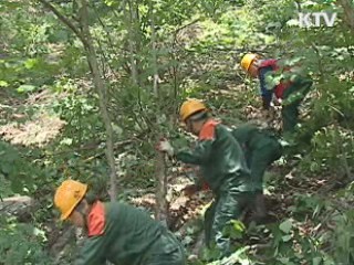 산림 분야 녹색 일자리 4만4천개 창출