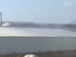 충남 AI 양성 반응···고병원성 여부 검사