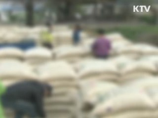 허위표시 쌀 전국서 부정유통···일제단속