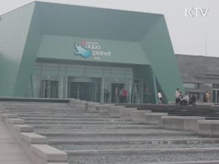 제주에 동양최대 수족관 개관 [캠퍼스 리포트]