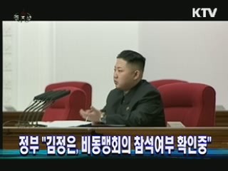 정부 "김정은, 비동맹회의 참석여부 확인중"