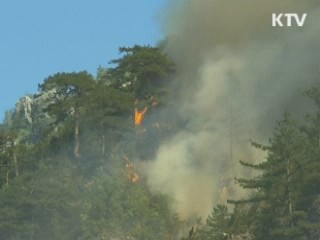 북한-일본 , 정부 간 대화 4년 만에 재개