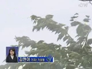 태풍 '덴빈' 오늘 밤 저기압으로 약화