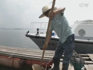 충남 서해안 사상 첫 적조주의보 발령