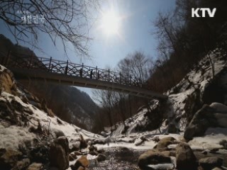 사람, 자연을 빚다