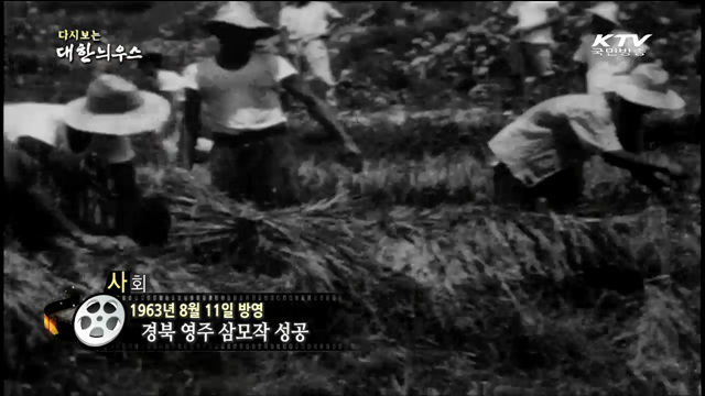 다시보는 대한늬우스 (63.08.11)