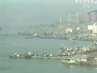 유치활동 본격화