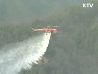 산림청, 오는 15일까지 해송림 항공방제