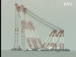 오늘의 정책(전체)