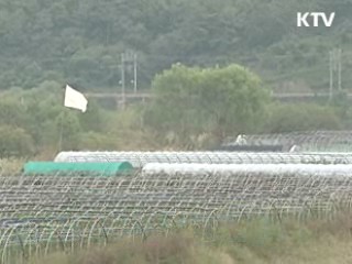 겨울철 농어촌 일자리 8만개 창출