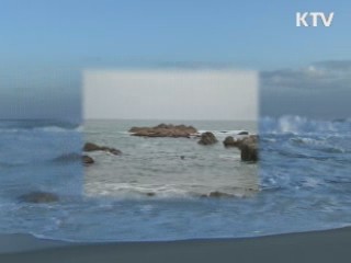 동해에서 새로운 바위섬 700개 찾았다