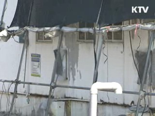 구제역 가축 비매몰 방식 처리 시범 도입