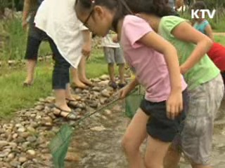 농어촌 체험마을·민박 '등급제' 도입