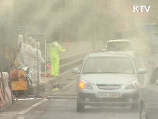 경북 영천서 3번째 구제역 양성 판정