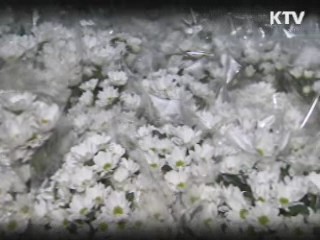 원예전문생산단지, 농식품 수출 新원동력