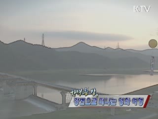 한 여름 밤 강변으로 떠나는 시원한 영화 여행