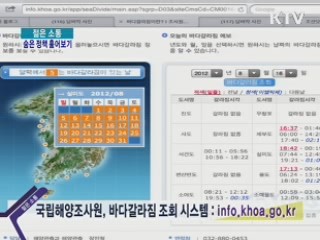 이 시각 온라인 - 야외 페스티벌 <킬힐> 내용은? [젊은 소통]