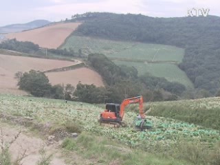 지난달 생산자물가 넉 달 만에 하락세