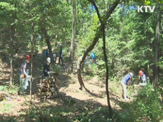 부처 협업으로 '참나무시들음병' 방지