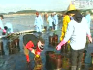 확산 방지 `총력`