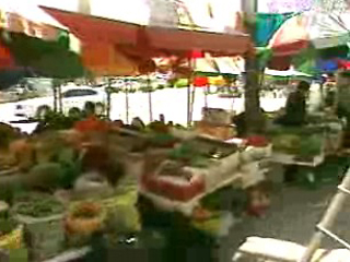 유전자변형생물체 검출방법 표준화 추진