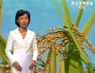 쌀비준안 김치파동관련