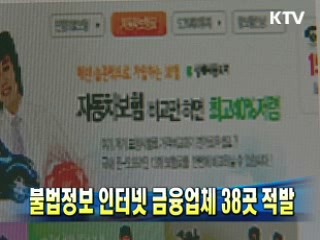 불법정보 인터넷 금융업체 38곳 적발