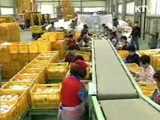 유통구조 개선, 상시적 물가안정