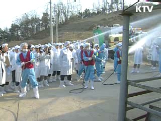 민·관·군 합동 구제역 확산방지 총력