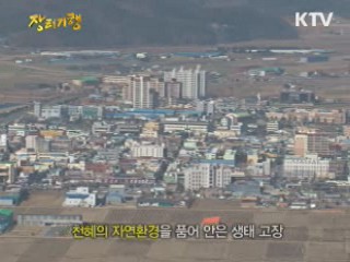 추억이 머무는 곳, 장흥 토요시장