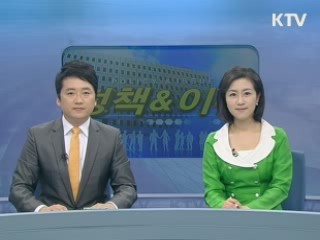 정책&이슈 (4회)
