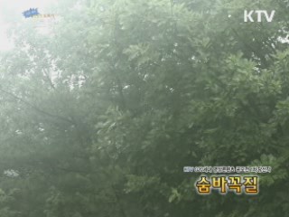 G20세대 영상창작 도화지 '스크린' (12회)