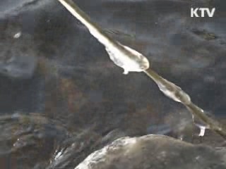 한파 시작…주말까지 올 겨울 최고 추위