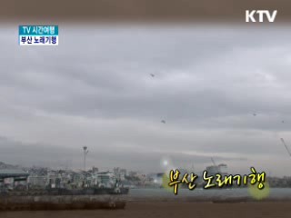 부산 노래기행 [TV 시간여행]