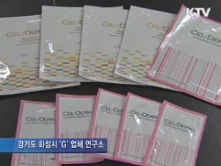 '매출 1천억 벤처' 381개…사상 최대