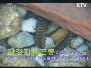 G20세대 영상창작 도화지 '스크린' (31회)