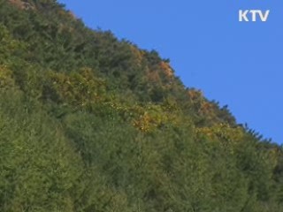 '산불예방' 출입 통제···과태료 최대 30만원